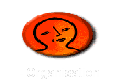 - Organisation