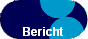 Bericht