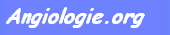 Angiologie.org